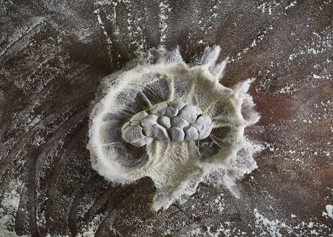photographe auteur lyon - rognon de veau - impact farine figé - lyonnaiserie