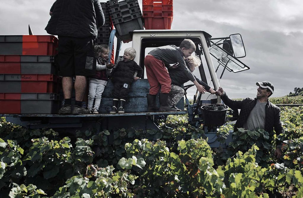 AEGERTER-VIGNE-VENDANGE-FAMILLE-BOURGOGNE-CHERRYSTONE-PHOTOGRAPHIE-CULINAIRE