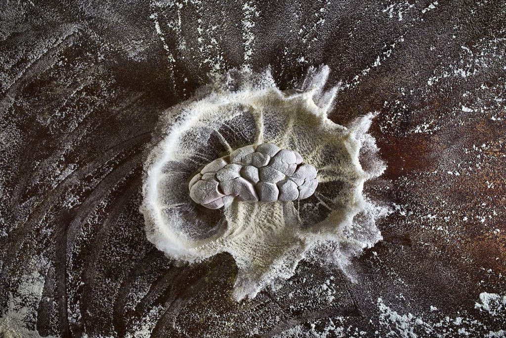 CHERRYSTONE-LYONNAISERIES-ROGNON-VEAU-PANE-PHOTOGRAPHIE-CULINAIRE