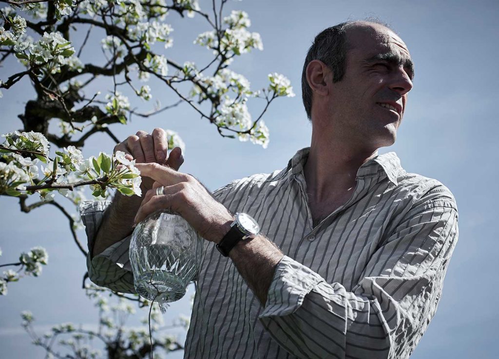 COLOMBIER-POIRE-EAU-VIE-CHERRYSTONE-PHOTOGRAPHIE-CULINAIRE