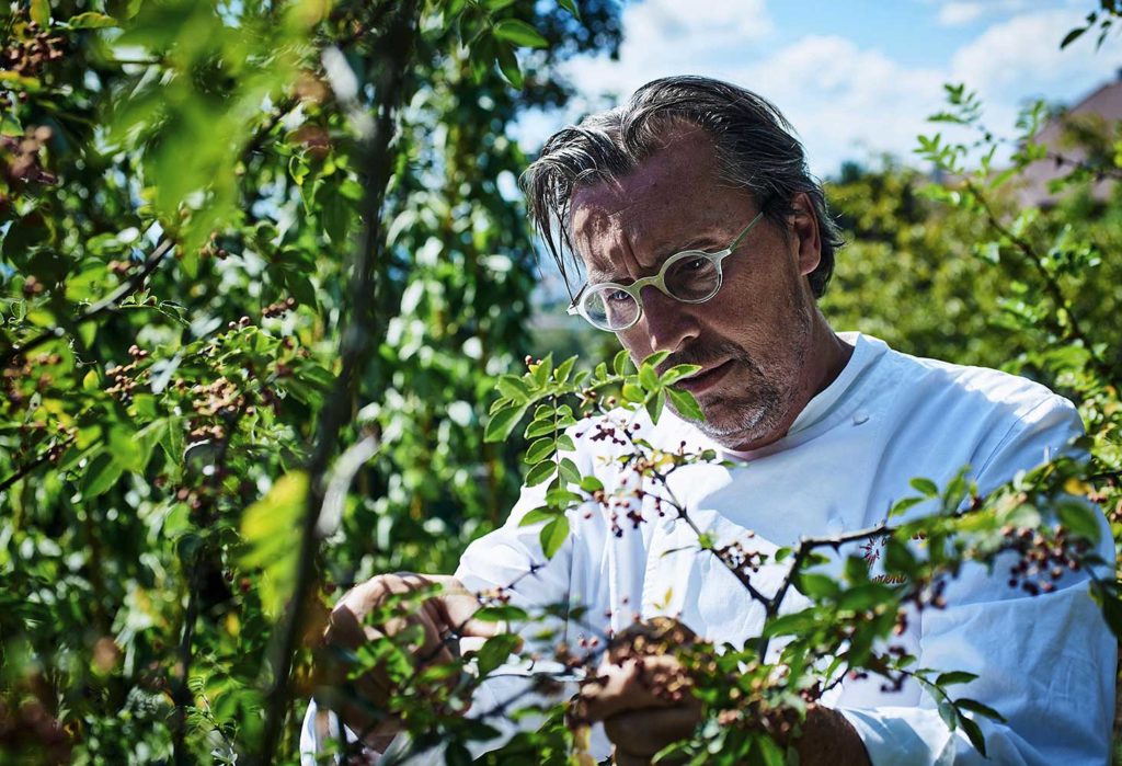 LAURENT-PETIT-JARDIN-POIVRE-CHERRYSTONE-PHOTOGRAPHIE-CULINAIRE