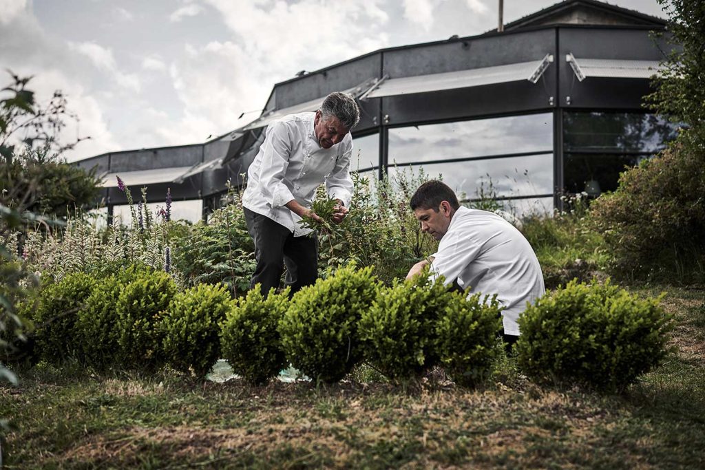 REGIS-MARCON-JARDIN-HERBE-SAISON-CHERRYSTONE-PHOTOGRAPHIE-CULINAIRE