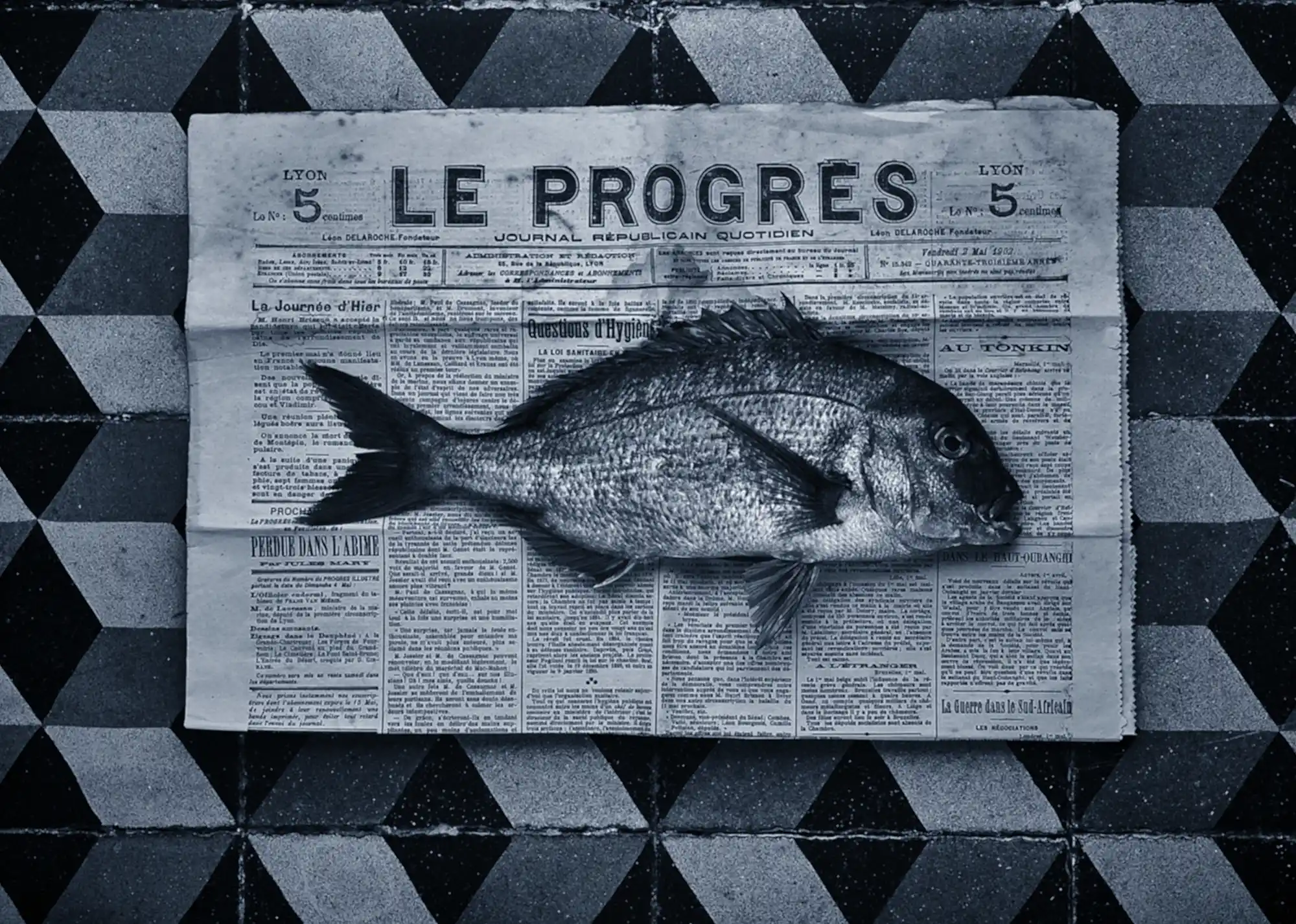 A LIRE-BLOG-CHERRYSTONE PHOTO CULINAIRE Photographie artistique culinaire d’un poisson posé sur un journal ancien « Le Progrès », par Jonathan Thevenet, photographe culinaire à Lyon