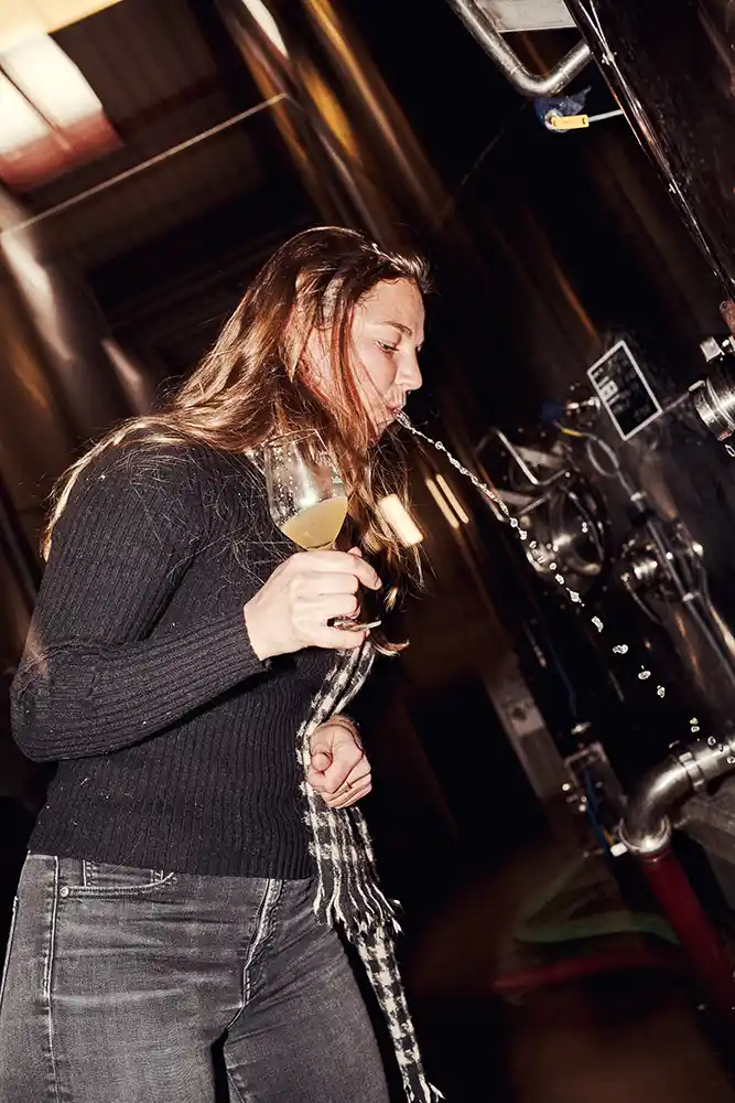 Dégustation au tirage à la cuve inox dans la cuverie Jaillance, Clairette de Die