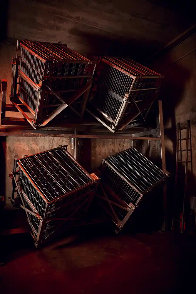 Gyropalettes de remuage empilées en cave, crémant de Bourgogne Vitteaut-Alberti