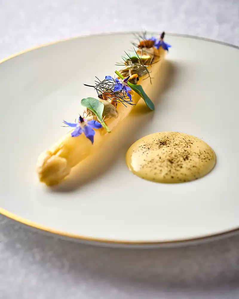Plat gastronomique asperge blanche, fleurs de bourrache et sauce mousseline, restaurant Saisons, photographe culinaire Lyon