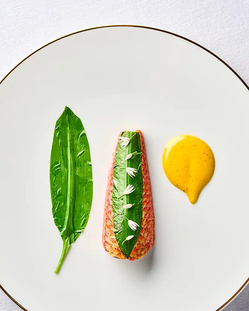 Plat gastronomique en vue de dessus, tartave de betterave et feuille d'ail des ours, graphisme épuré, restaurant Saisons, photographe culinaire Lyon